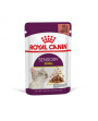 Royal Canin Sensory Smell Gravy - стимулира сетивата на котките 12бр.х85гр. - Консервирана храна