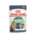 ROYAL CANIN DIGEST CARE SENSITIVE КОТКИ С ЧУВСТВИТЕЛЕН СТОМАХ ПАУЧ 12бр.х85гр.
