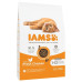 IAMS Cat Kitten с пиле - суха храна за малки котенца 10кг.