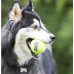 KONG AIRDOG TENNIS BALL гумена тенис топка със звук за кучета - различни размери