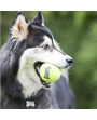 KONG AIRDOG TENNIS BALL гумена тенис топка със звук за кучета - различни размери - Кучета