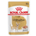 ROYAL CANIN CHIHUAHUA - ЧИХУАХУА ПАУЧ 12бр.х85 гр.