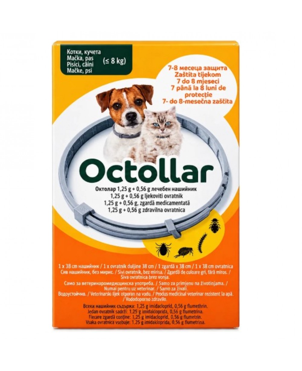Octollar – Противопаразитна каишка за кучета и котки 38 см (до 8 кг.)