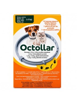 Octollar – Противопаразитна каишка за кучета и котки 38 см (до 8 кг.)