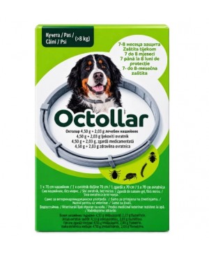 Octollar – Противопаразитна каишка за кучета 70 см (над 8 кг.)
