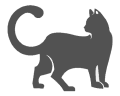 КОТКИ