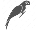 ПТИЦИ
